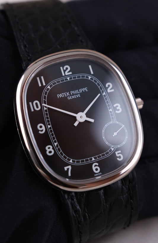 Patek Philippe Ellipse 5028G-001 - Thumbnail