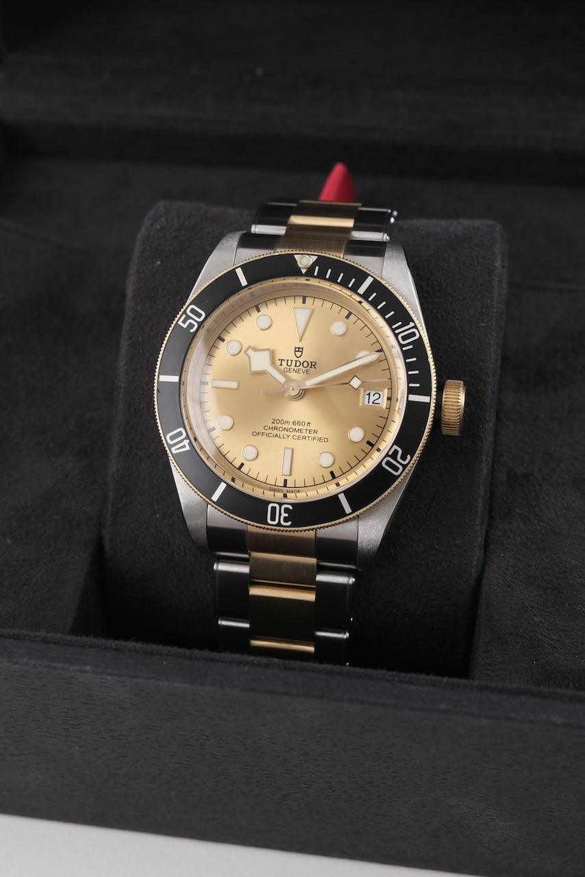 Tudor Black Bay 79733N - Detailansicht 1