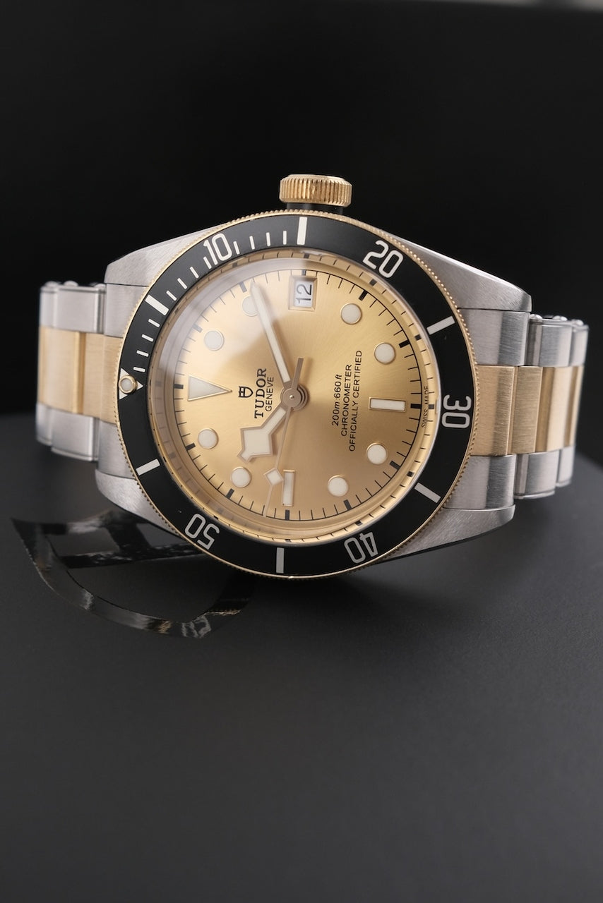 Tudor Black Bay 79733N - Detailansicht 3