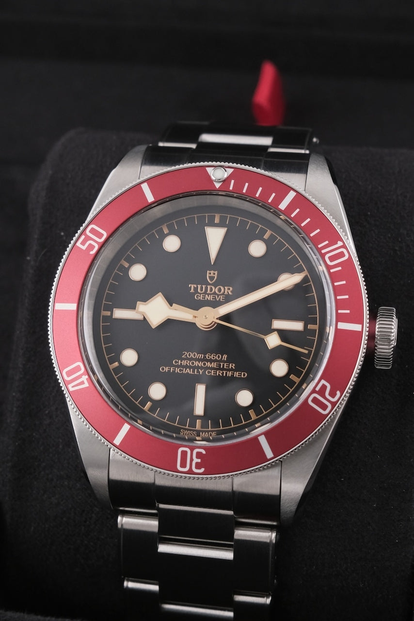 Tudor Black Bay 79230R - Detailansicht 1