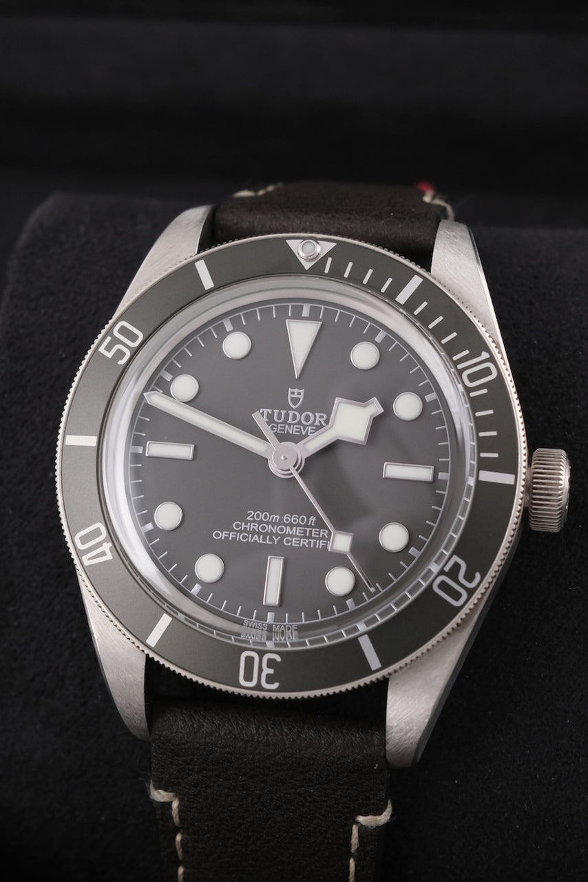 Tudor Black Bay Fifty-Eight 79010SG - Vista dettagliata 2