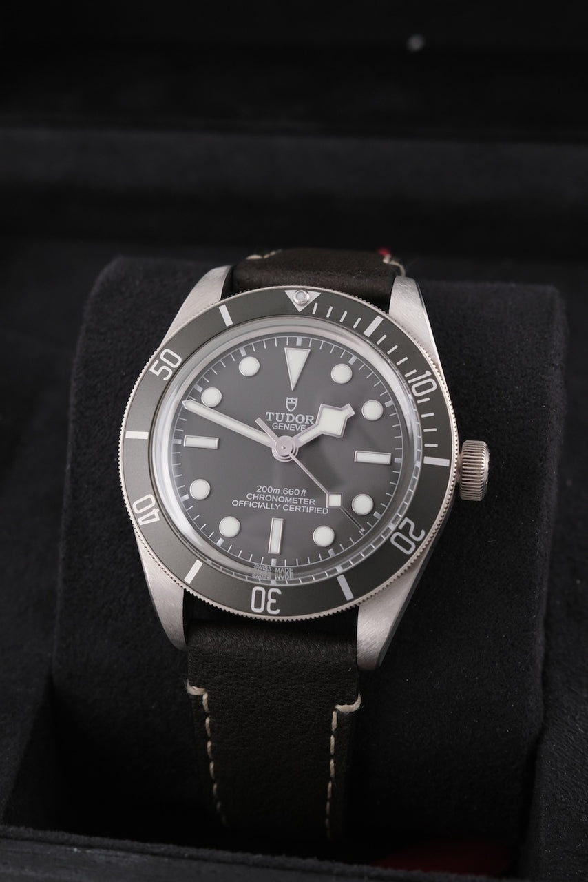 Tudor Black Bay Fifty-Eight 79010SG - Vista dettagliata 1