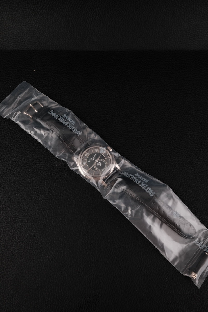 Patek Philippe Annual Calendar 5205G-010 - Detail view 1