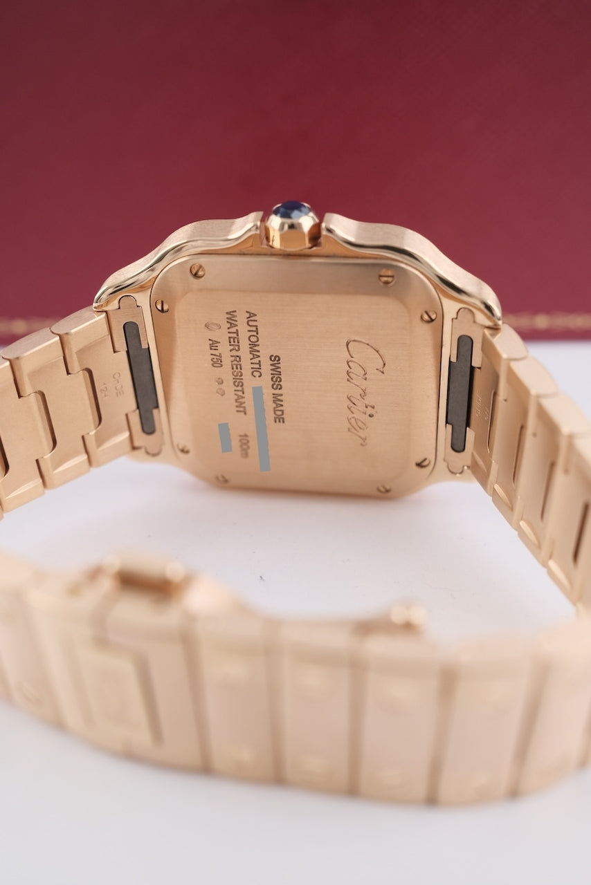 Cartier Santos de Cartier  WGSA0031 - Detailansicht 10