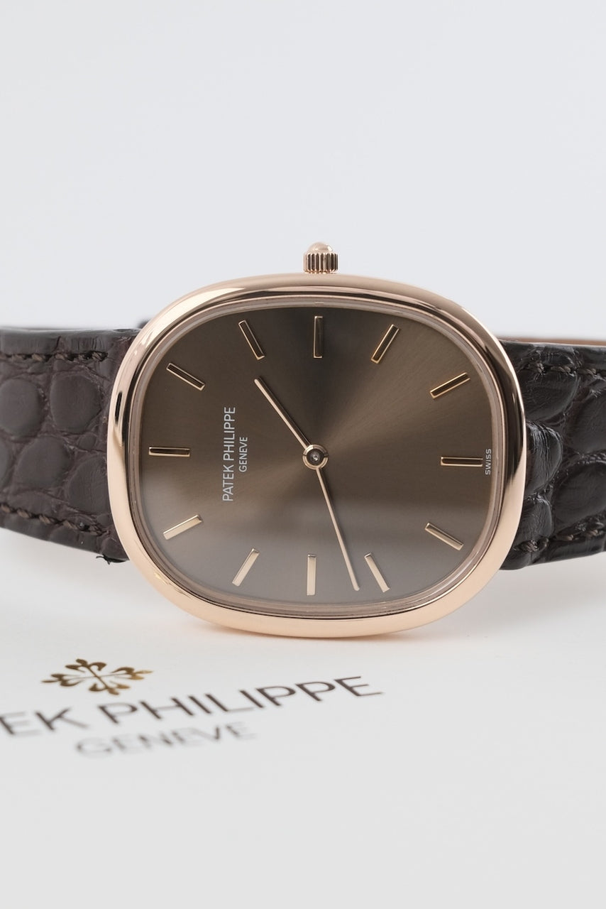 Patek Philippe Ellipse d'Or Jumbo 3738/100 - Detailansicht 1