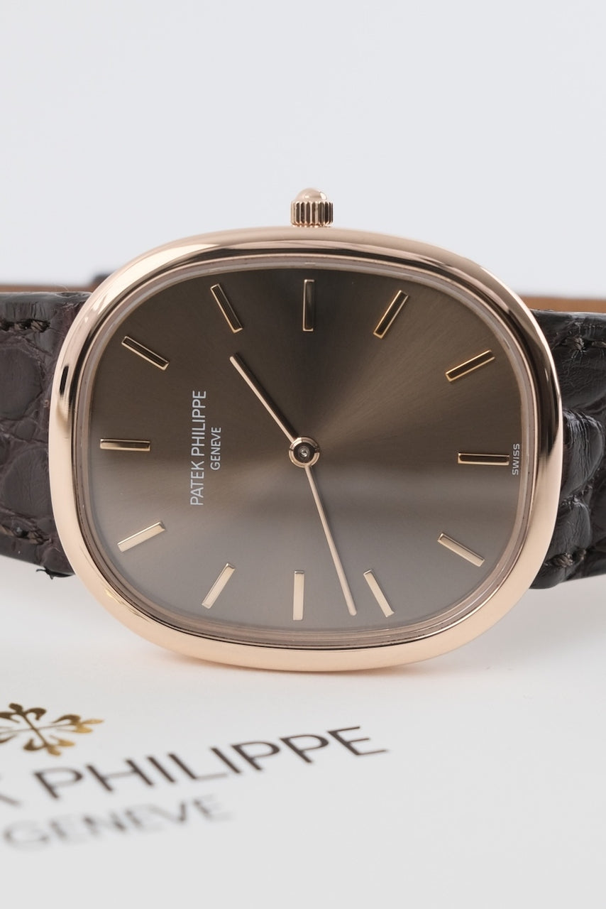 Patek Philippe Ellipse d'Or Jumbo 3738/100 - Detailansicht 2