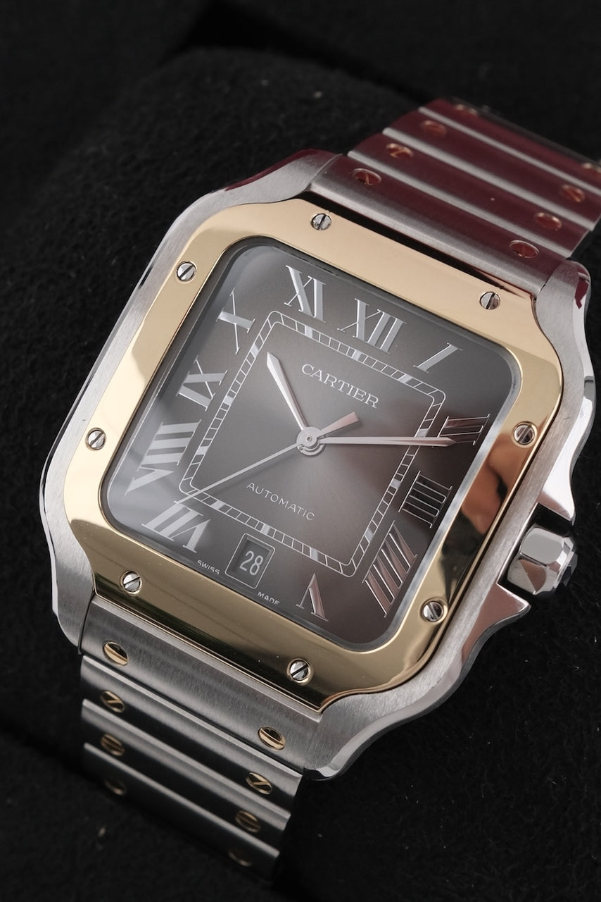 Cartier Santos W2SA0030 - Detailansicht 3