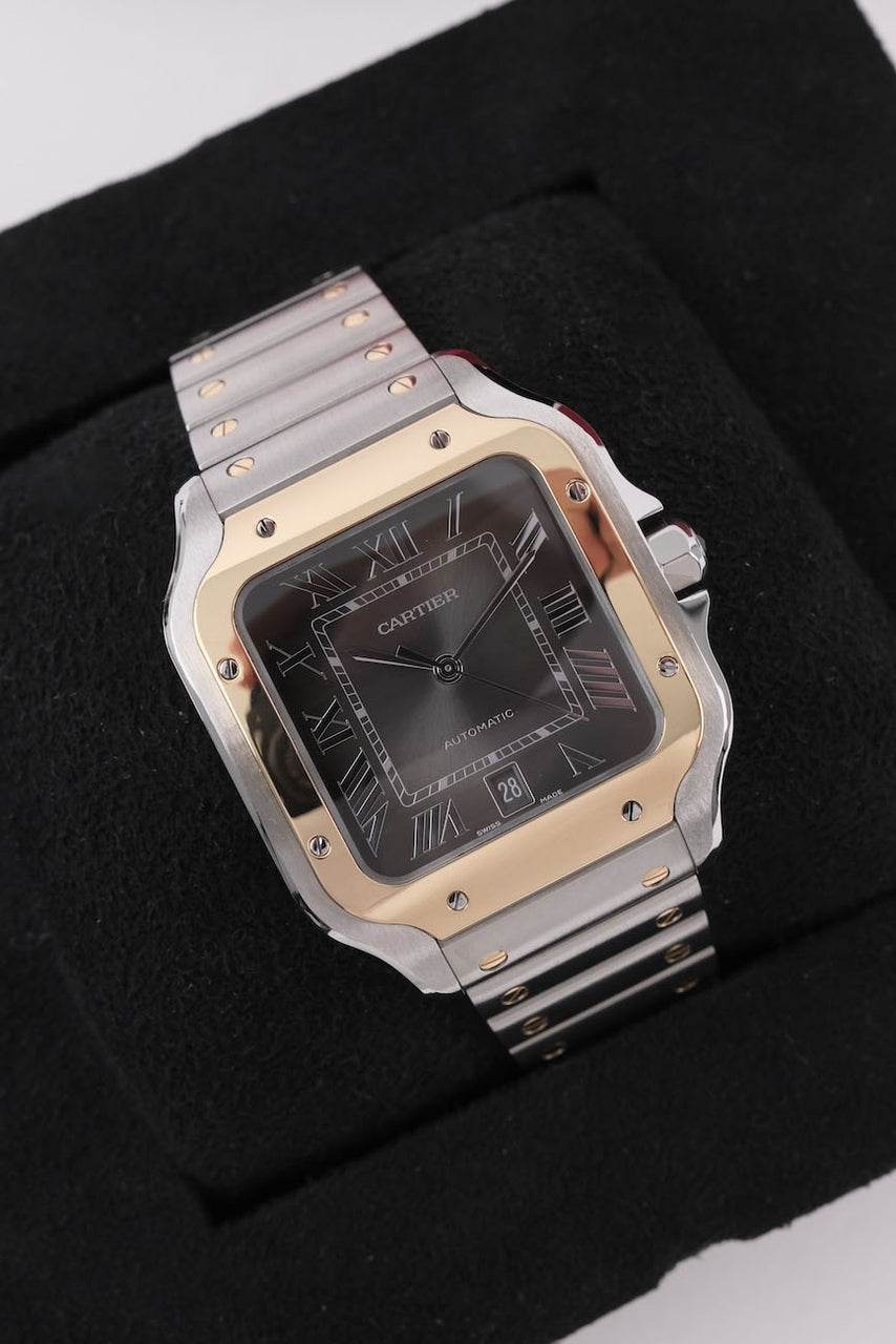 Cartier Santos W2SA0030 - Detailansicht 1