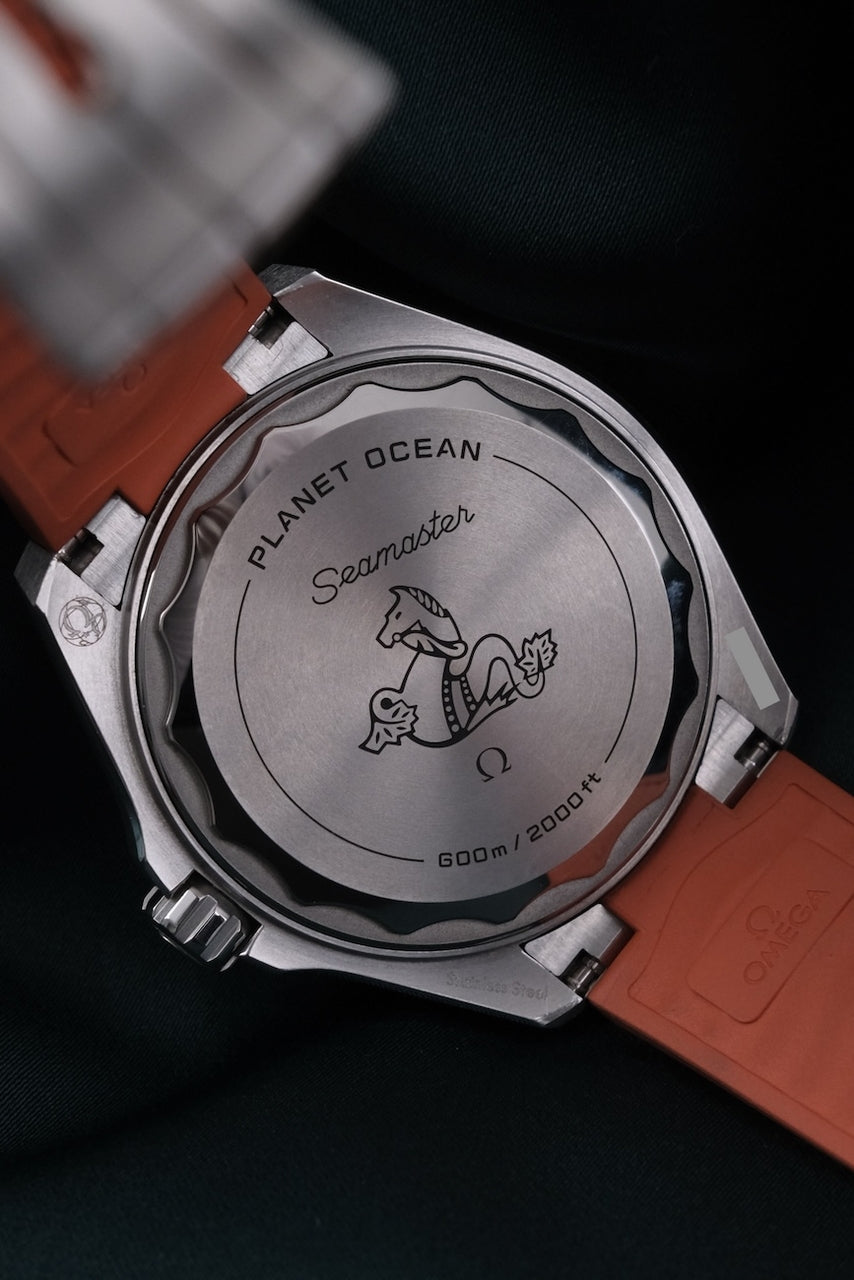 Omega Seamaster Planet Ocean 600M 217.32.42.21.01.003 - Detailansicht 7