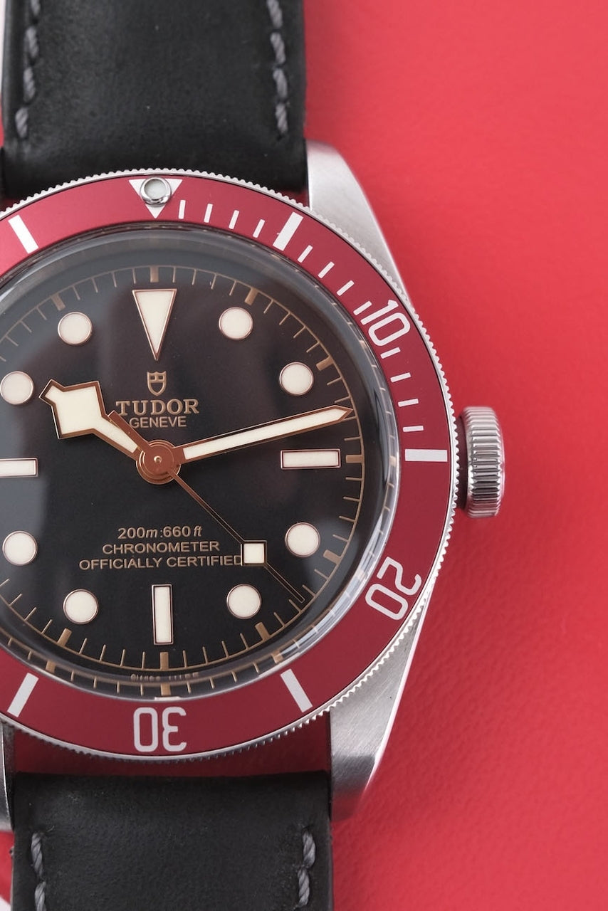 Tudor Black Bay 79230R - Detail view 4