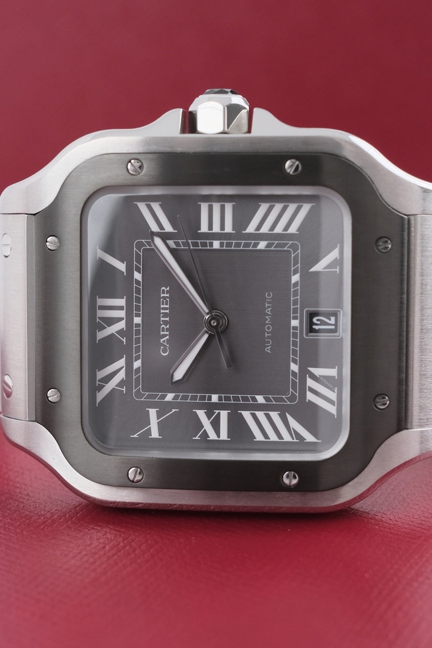 Cartier Santos WSSA0037 - Detailansicht 3
