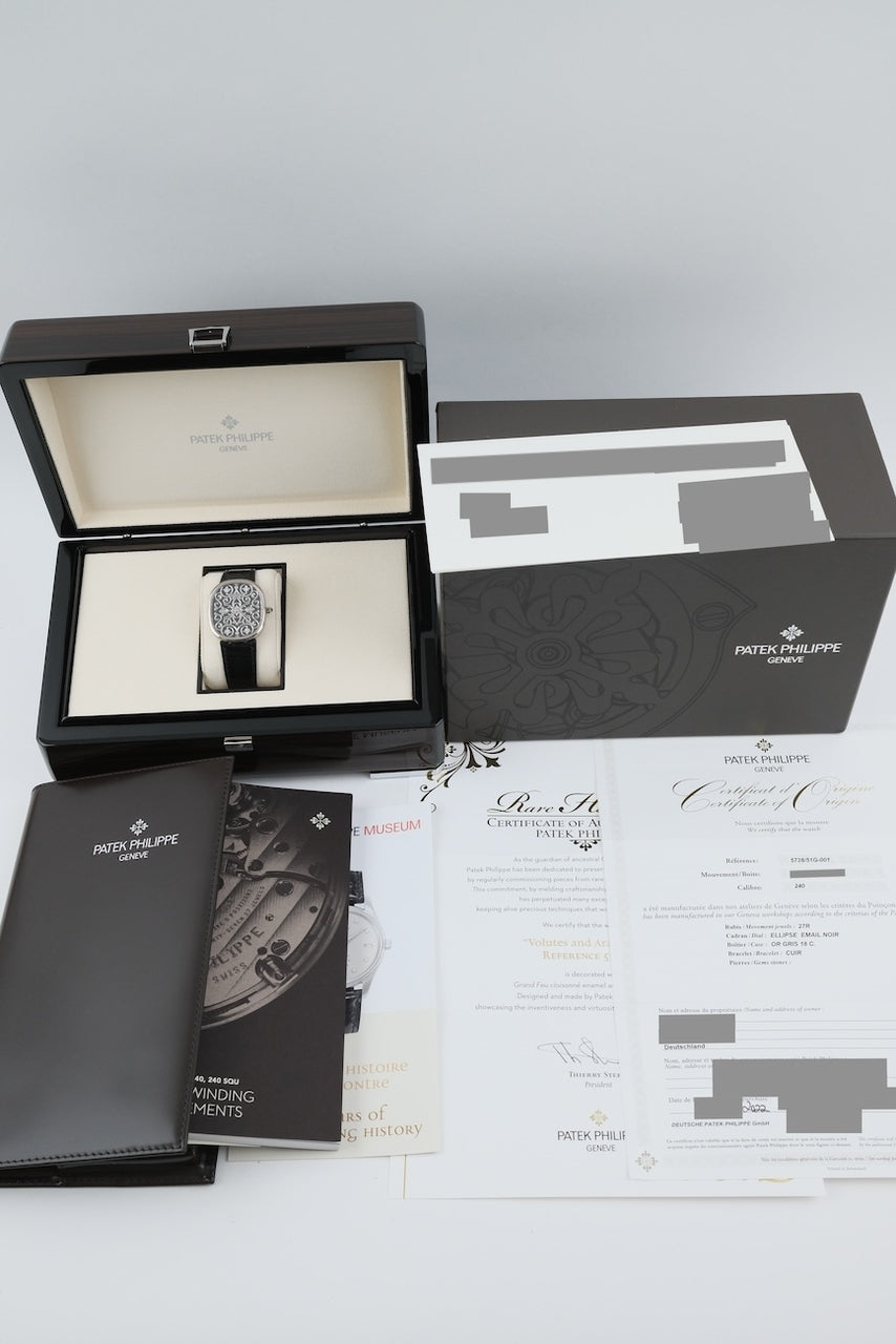 Patek Philipe Ellipse d'Or 5738/51G-001 - Papiere und oder Lieferumfang
